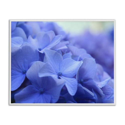 Hydrangea Close Up Botanical, 11 x 14 Inch Framed Giclée Print