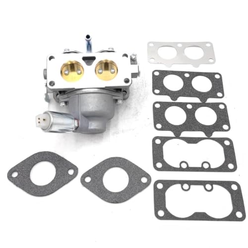 Carburateur adapté pour BS-796997 contre les pannes de démarrage et fuites moteur