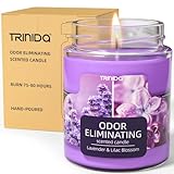 Lavender & Lilac Blossom Odor Eliminating Candles for Home Scented, Eliminates 99% of Pet, Smoke, Food and Other Smells Quickly, Highly Fragranced Candle, Premium Soy Candles Set for Women