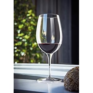 Luigi Bormioli Palace 1625 oz Goblet Wine Glasses Set Of 6 Clear