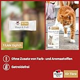 Doppelherz Haut und Fell Complex für Katzen - Mit wichtigen Omega-3 und Omega-6 Fettsäuren- 25 Licks