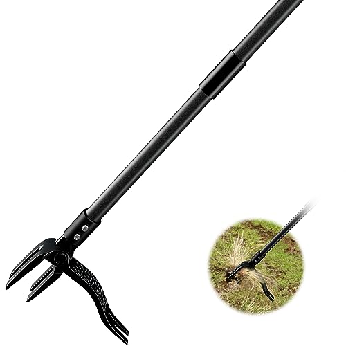 Weed Pulling Tool The 15 best products compared