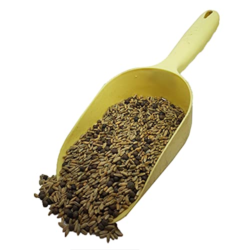 1Kg Rye and Vetch Over Winter Mix Green Manure Seeds