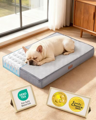 OhGeni Orthopedic Waterproof Medium Dog Bed, Memory Foam, 30 inch(Gray)