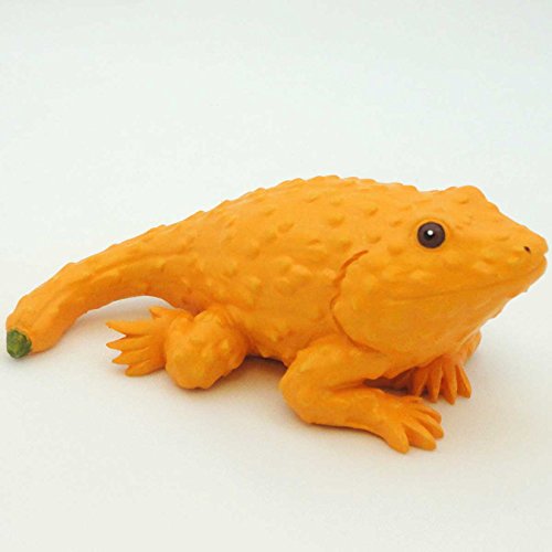 Crookneck Squash Bearded Dragon