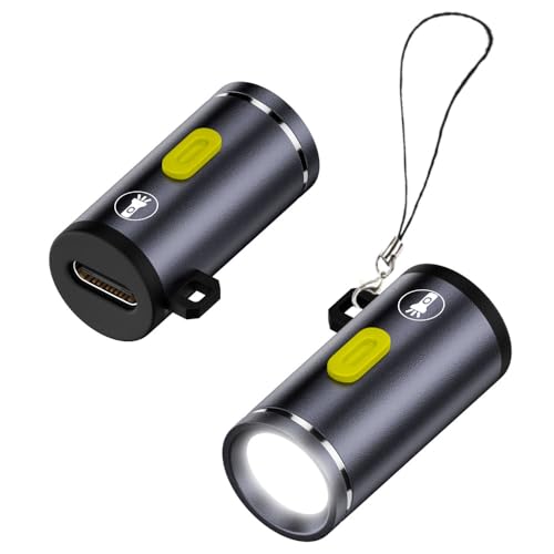 RAINSUNG Mini USB C LED Flashlight with Key Chain Lanyard Brightness 210 Lumen fit for Chargers/Power Banks/Cellphones for Emergency Use Outdoor 2Pack (Female USB C)