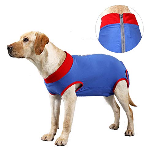 comfortable e collar