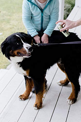 PAWFUME Premium Grooming Spray Dog Spray Deodorizer Perfume For Dogs - Dog Cologne Spray Long Lasting Dog Sprays - Dog… - Image 5