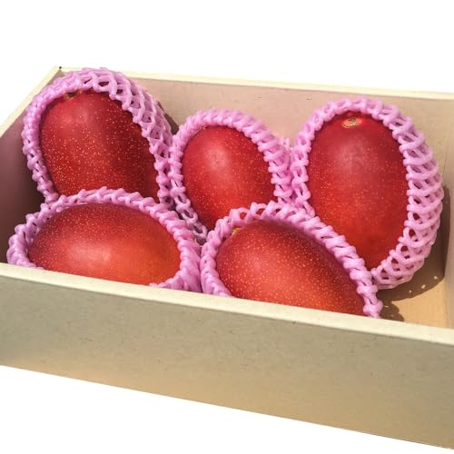 宮崎特産 国富町産の完熟マンゴー 3〜7玉(合計約1.5kg) 国富町 フルーツ 果物 国産 宮崎県