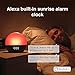 WiiM Wake-up Light, Alexa Built-in, Unlimited Sound Choices, All-in-One Sunrise Alarm Clock, Sound Machine, Sleep Routines and More -Sea Blue Green
