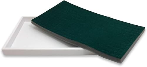 Miniatura 2 de Bandeja de exhibición de anillos de espuma para 144 unidades (bandeja blanca, espuma verde) 1 paquete (14 pulgadas x 8 pulgadas x 1 pulgadas)