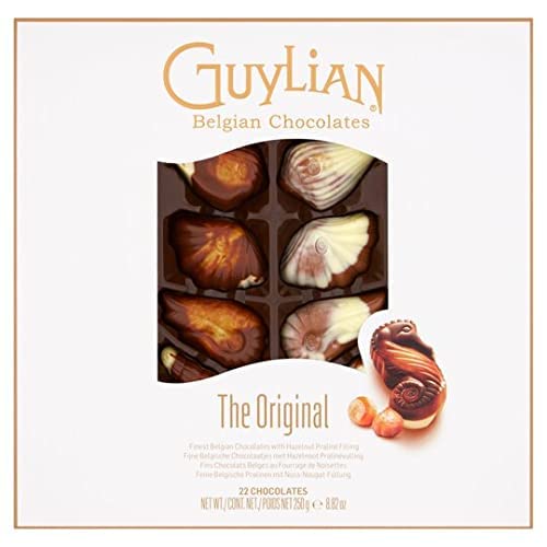 Guylian Belgian Chocolates Seashells Gift Box -22 Shells Chocolate Gift, 250 g (Pack of 1)