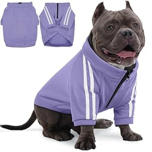PUMYPOREITY Bulldog Breed Apparel, Dog Hoodie for Big Chest Dogs, for English Bulldogs Frenchies Pitbulls,Comfortable Sweatshirt for Spring/Fall Walks, Purple, L