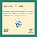Ayurvedix Shankhpushpi Ark 3-Pack | Pure Natural Shankhpushpi Hydrosol | Supports Brain Health, Memory & Focus