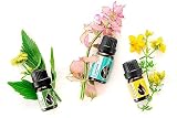 Essences Bułgaria Organiczny Olejek Eteryczny z Lubczyku 5 ml | Levisticum officinale | 100% Czysty i Naturalny | Nierozcieńczony | Klasa terapeutyczna | Gospodarstwo rodzinne | Bez GMO | Wegańskie
