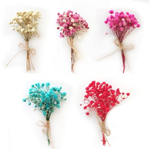 Dried Flowers Natural Dried Flowers for Crafts Gypsophila Dried Flowers DIY Pressed Flowers Mini Dried Flowers Small Bouquet Dried Flowers Flower Decoration for Candles Resin Decoration