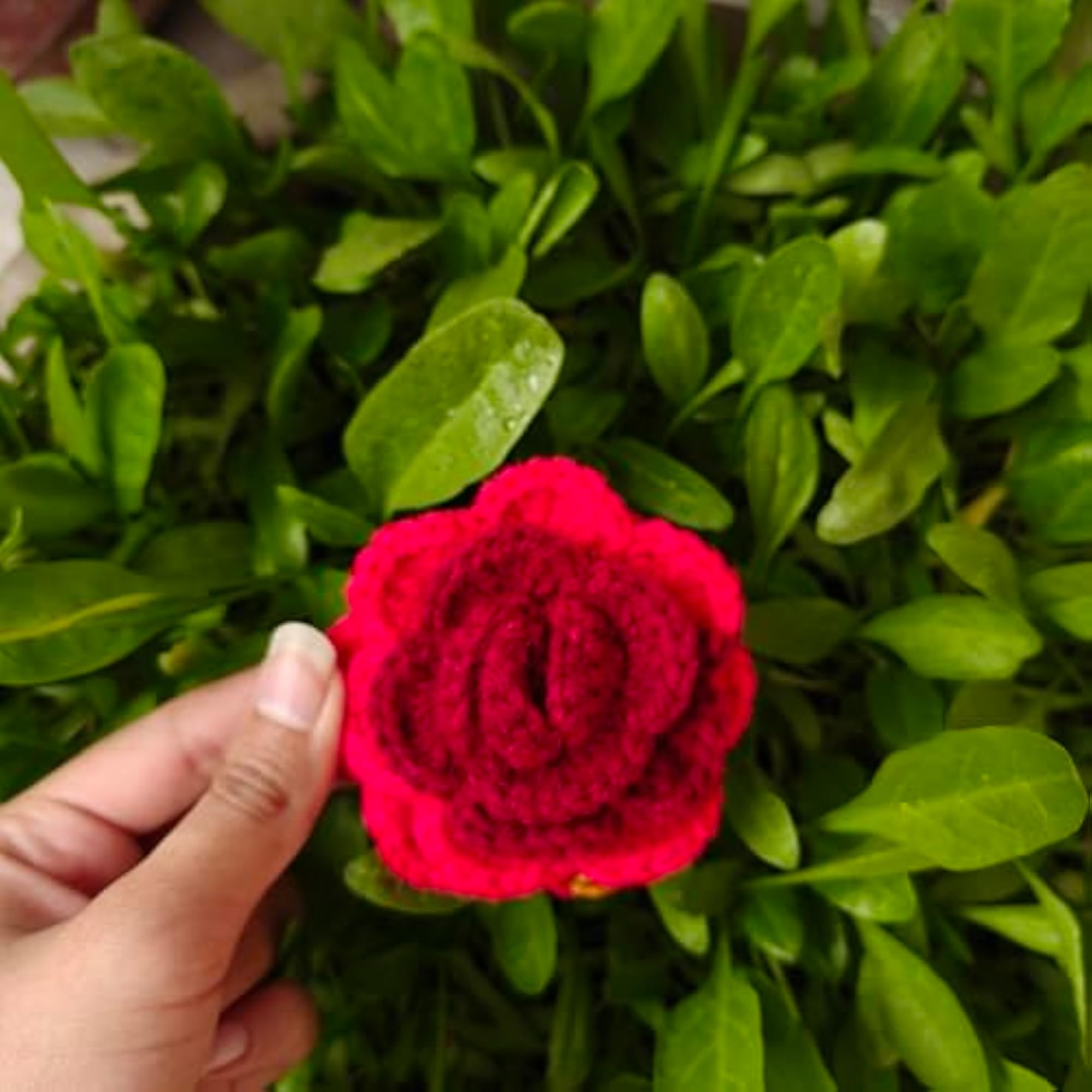 Handmade Crochet Rose Flower with Hair Pin Set, 2 Pieces