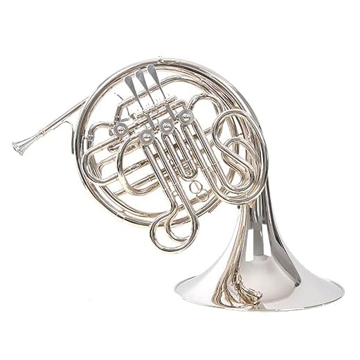 HDYNUZ Trompa Doble Profesional de 4 Teclas en si Bemol/FA, trompa de latón, Instrumento Musical orquestal para Principiantes, exámenes y desempeño Profesional.