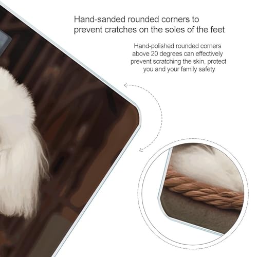 Báscula digital French Poodle de vidrio templado con pantalla LCD miniatura 4