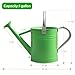 yourjoy Metal Watering Can, One Gallon Watering Cans Stainless Steel for Outdoor Indoor Garden Plants Watering (Stainless Steel Handle Green)