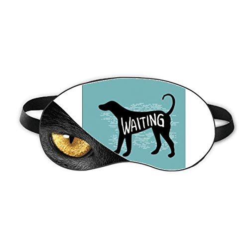 ̎R̃VGbg xݖڂ̎Ռe