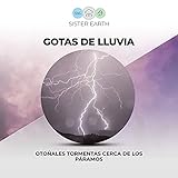  Temporada de Lluvia Sobre el Dosel