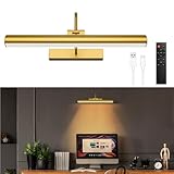 IRAXZOA Rechargeable Picture Light for Wall Art, 3 Color Temperatures & 3 Brightness Levels, USB-C Battery, Remote & Touch Control, Rotatable Bracket, Brass(13inch)