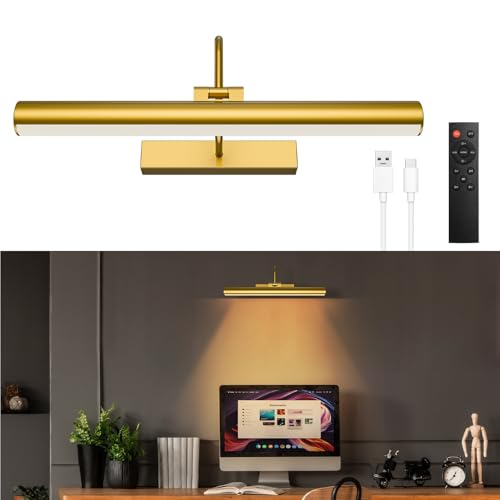 IRAXZOA 13'' Picture Light for Wall, 5200 mAh Battery Operated Picture Light with Remote & Timer for...