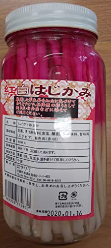 g@͂݁@i@r@p@j@24r@i@r@60{@j@Ɩp@I@͂