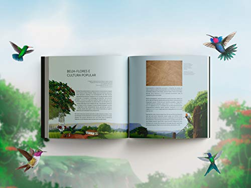 Joias Aladas: os incríveis beija-flores da Serra da Canastra