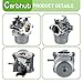 Carbhub Carburetor Replacement for Walbro LMT 5-4993 with Mounting Gasket Filter 799728 498027 499161 498231 494502 494392 495706 498134 496592 699318 699737 699856 699896 Carb