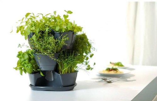 Preisvergleich Produktbild Dreistöckige Pflanzpyramide mit Bewässerungssystem für Kräuter und Blumen, in verschiedenen Farben (beige)