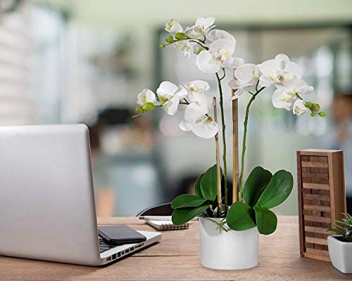 Serene Spaces Living 3 White Realistic Phalaenopsis Orchids In Pot, Artificial Potted Flowers - Beautiful Entryway Vase, Foyer Table Décor, Measures 26" Tall & 5" Diameter #TOP3