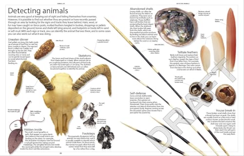 Encyclopedia of Animals