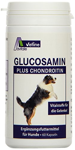 Avitale Glucosamin plus Chondroitin Kapseln für Hunde,60er pack,38,4g