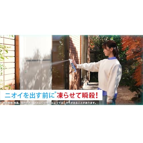 フマキラー カメムシ 凍殺ジェット 300ml