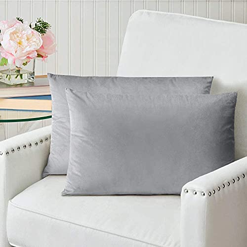 Image of ATOOTFUSION Pillows Set. Soft Pillows for Sleeping. Ultra Soft Bed Pillow Fluffy Luxurious Grey Pillows Hug Pillows Body Pillow Pack of 02 (Toddler Size,12X18 INCHES)