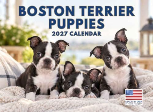 Boston Terrier Puppy Calendar 2027 Monthly Wall Calender 12 Month
