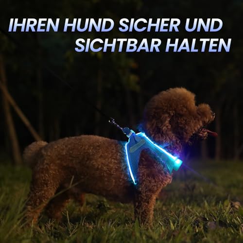 PcEoTllar Hundegeschirr Leuchtend, Leuchtgeschirr LED Aufladbar & Reflektierendes, Beleuchtetes Leuchtgeschirr für Welpe Klein Mittlere Hund, Atmungsaktiv Leucht Geschirr, Blau-S