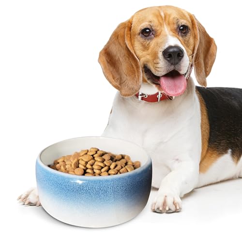 Byer of Maine Pet Bowl – High-Fired Porcelain Stoneware, Food-Grade Safe, Dishwasher Safe, Non-Slip Dog Bowl for Small Breeds in Best Friend Blue