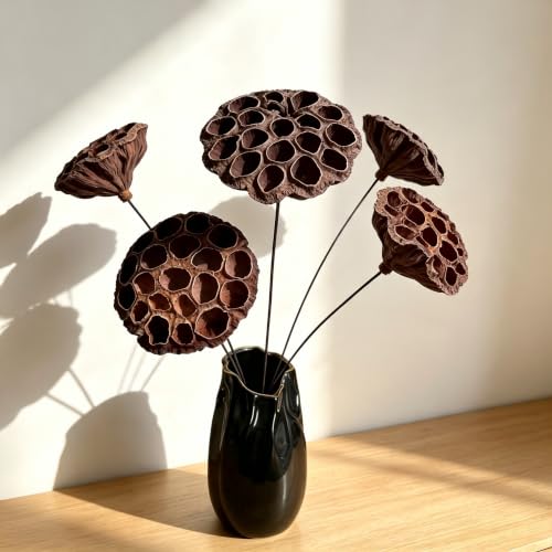 Dried Lotus Pods 5 Pcs 20" Natural Brown with Stems for Vase Decor