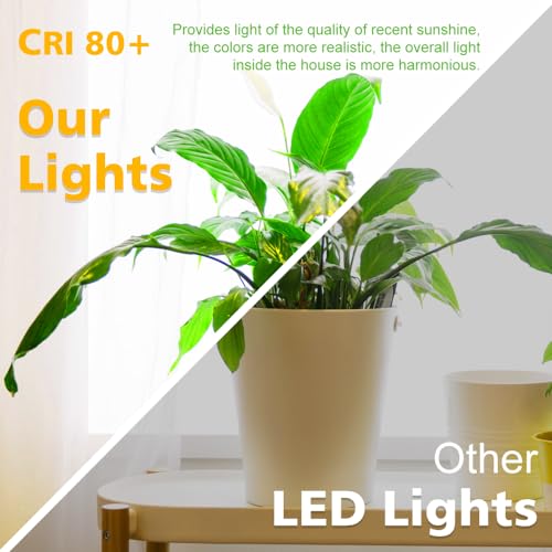 2 Inch LED Downlight, Recessed Lighting Dimmable Ceiling Light, 3W, 2700K Ultra Warm White, CRI80 with LED Driver(35W Halogen Equivalent), Black 4 Pack by LightingWill - Image 3