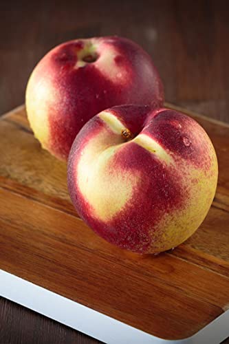 pianta di Pesco Noce Indipendence albero di pesca noce varietà Indipendence Età 2 anni già innestata pianta da frutto di pesche noci pianta vera di pesca noce venduta da eGarden.store