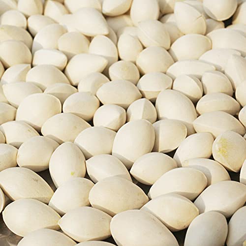 通用 50g-500g Ginkgo Biloba Plata Madura Albaricoque Nuez Herbal Chino Natural Orgánico Comida Saludable (50g) - Imagen 4