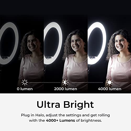 Kreo Ring Light 18" Ring Light with Tripod Stand for Video Shooting Professional Studio Light with Tripod ringlight Photography YouTube ringlight kit for YouTube Instagram Accessories Big Ring Light - Image 4