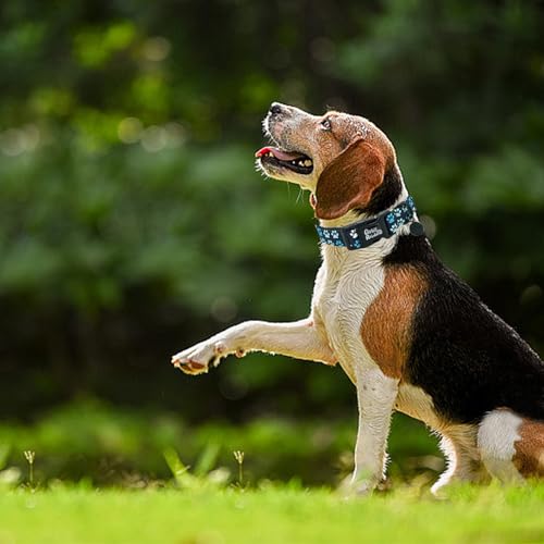 Image of Dog Collar-Cute Footprint Adjustable Pet Collars Soft Comfortable Cotton Puppy Collar Durable Gift for X-Small Dogs