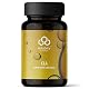 CLA-Kapseln mit 78% konjugierter Linolsäure von edubily nutrition