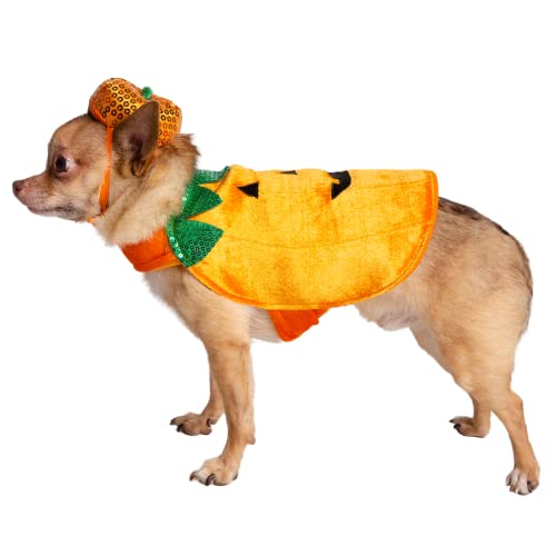 Pet Krewe X-Large Dog Pumpkin Outfit - Pet Pumpkin Costume - Fits Small, Medium, Large And Extra Large Dogs, Cats - Perfect For Halloween, Christmas Holiday, Parties, Photoshoots, Gifts For Dog Lovers #TOP4