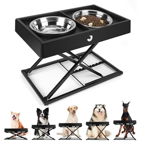 Taglory Heavy Duty Metal Elevated Dog Bowls Stand, 2 Stainless Steel Dog Food(6 Cup) and Water(1.45L) Bowls, 8 Adjustable Heights, Anti-Skid Raised Dog Bowls for Medium Large Sized Breeds Dogs, Black Cover
