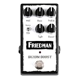 Friedman Buxom Boost